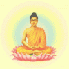 buddha-moi.gif