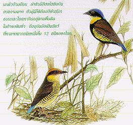 image004.jpg