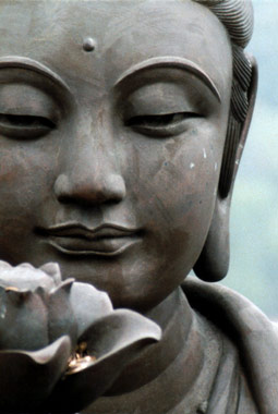 buddha_lotus.jpg