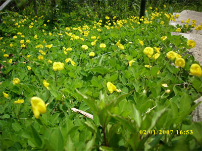DSCI0283.jpg