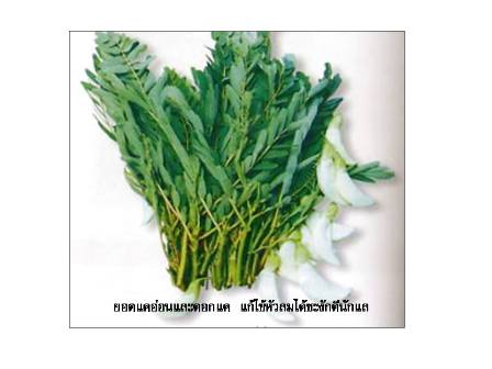 3. ยอดแคอ่อนลวกจิ้มน้ำพริกกะปิหรือหลนต่างๆ.jpg