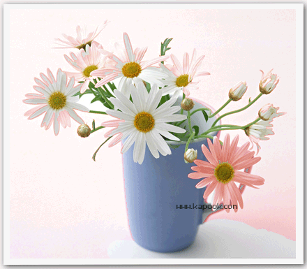 30-04_08-pic09.gif