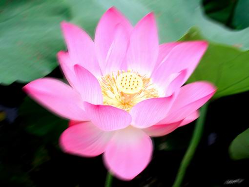 ID_13027_9.jpg