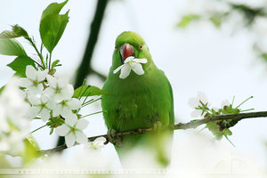 2f9ed6f551f4b5f95a8f958ca5afea60.jpg
