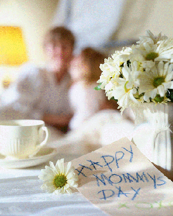 080814.gif
