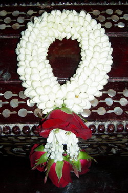 malai waikroo.jpg