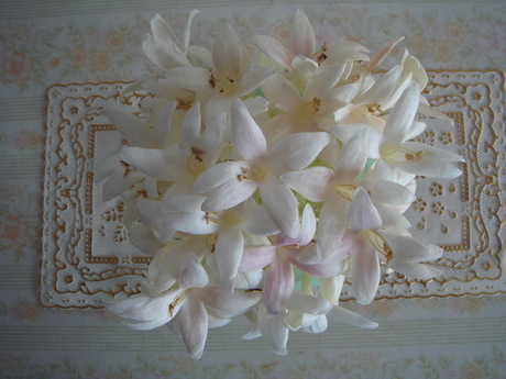 DSC08384.jpg