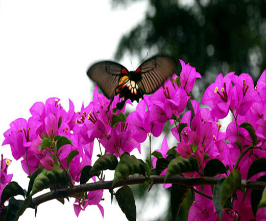 01oct08121210.jpg
