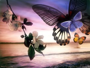 550d1870eaad576_web52.jpg