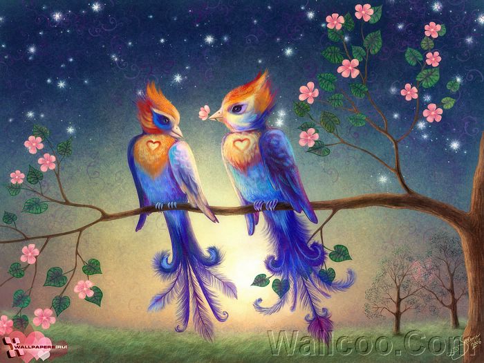 creative_character_luana_wallpapers_ru_liolio_birds.jpg