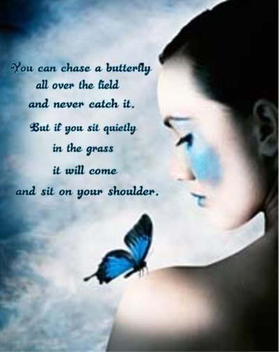 butterfly047.jpg
