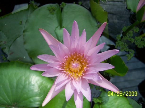 100_5141.JPG
