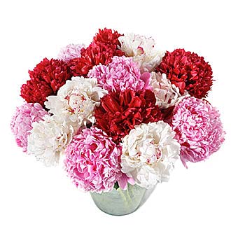 peony-mix.jpg