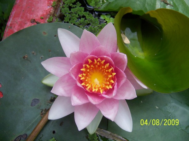 100_5142.JPG