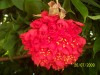 100_4845.JPG
