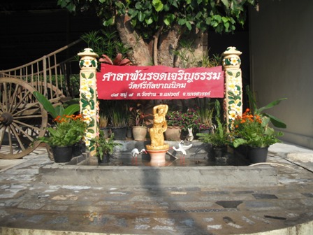 DSCF0014.JPG