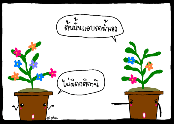 4.bmp