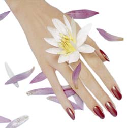 hand3.jpg