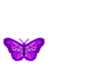 anibfly15.gif