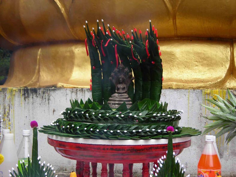 DSCN5525.jpg