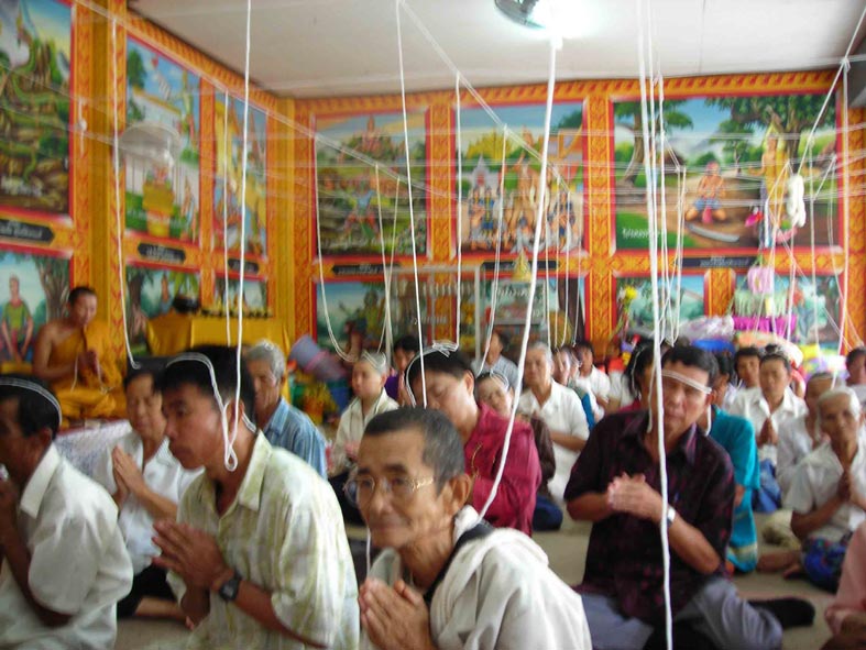 DSCN5556.jpg
