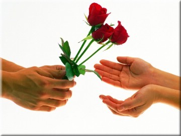 rose002-32.jpg