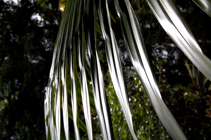 Re-exposure of DSC_4786.jpg