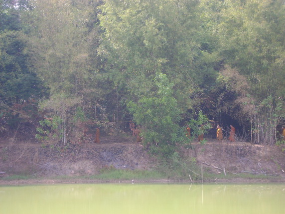 DSC02247.jpg