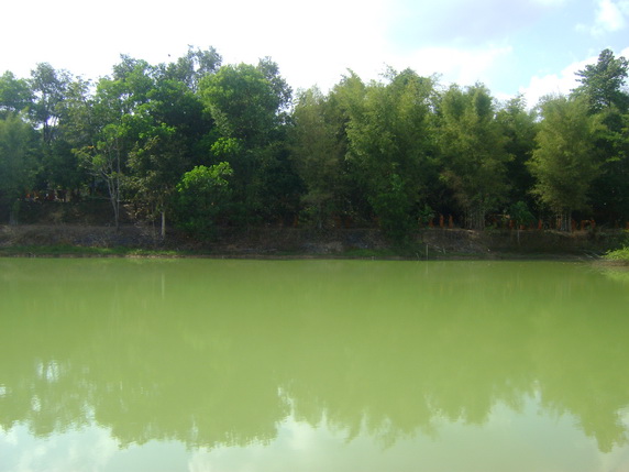 DSC02248.jpg