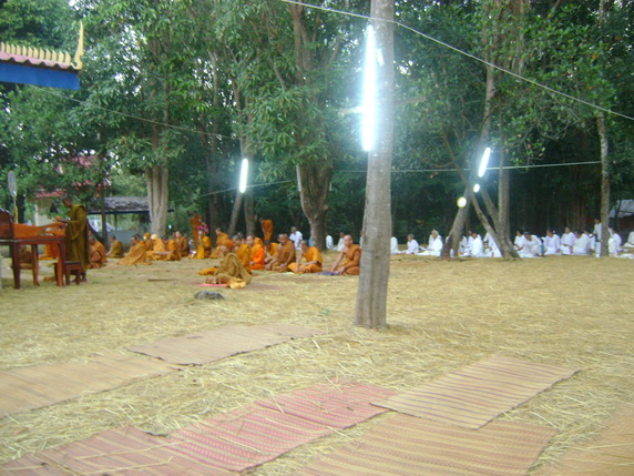 DSC02254.jpg