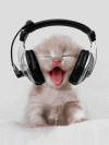 picture-4530.gif