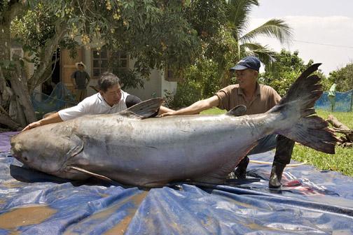 fish03.jpg