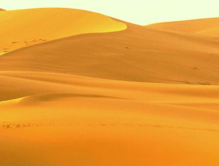 desert1.jpg