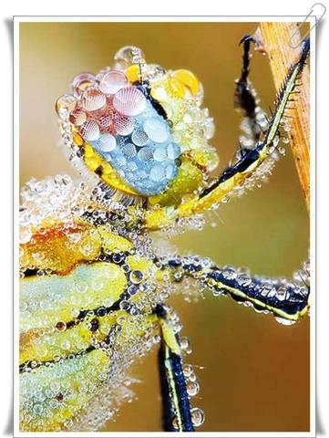 GetAttachment-4.jpg