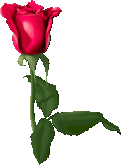 8_1259151961.gif