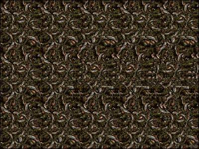 3_20dimensions-a.jpg