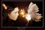untitled....bmp