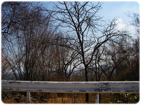 Y8867368-9.jpg
