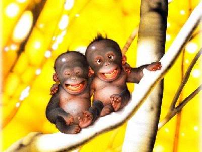 MonkeyBusiness-closeup.jpg