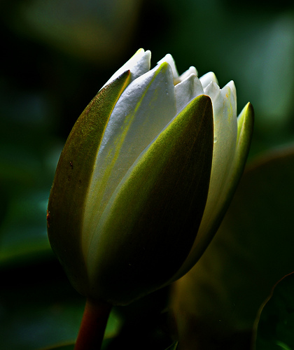 Y8538514-2.jpg