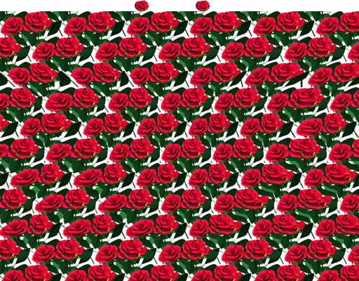 rose512.jpg