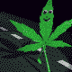 picture-16142.gif