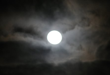 night.jpg