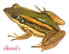 k1111.jpg