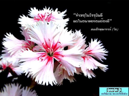 y1pllVwT87UwV6kAAn_90m5dpmnncRRv5BypR9IiofHyntXHQscirQbVtvT20_1npxUplNbgWkmtVI.jpg