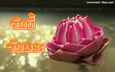 15352.gif