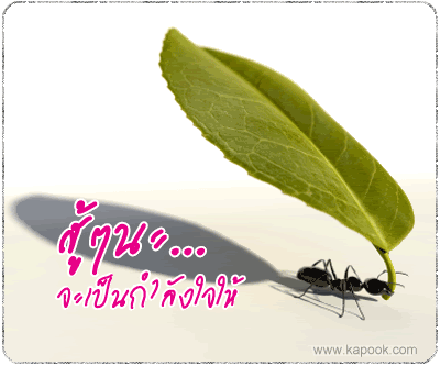 T140709_02C.gif