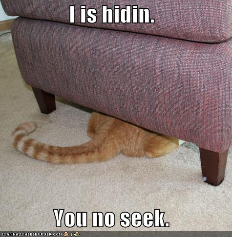 hiding%20cat.jpg