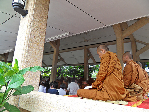 SDC12265.jpg