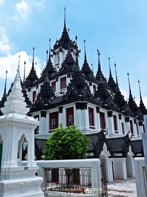 SDC10028.jpg